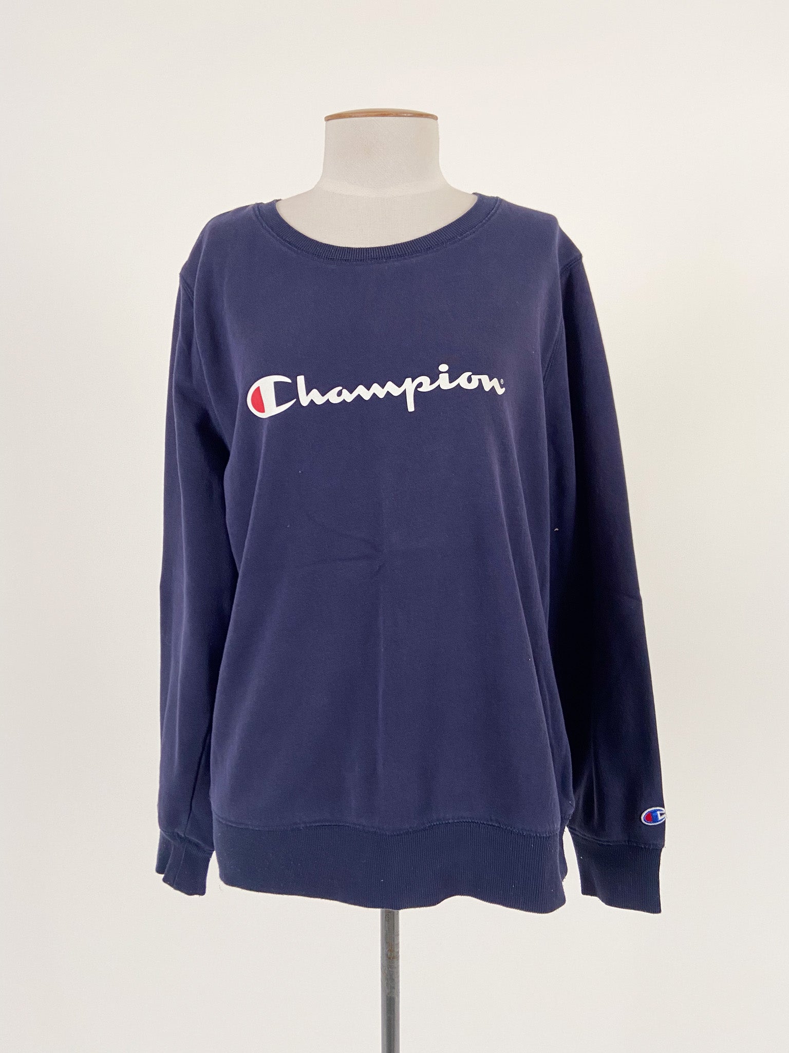 Champion blue jumper hotsell