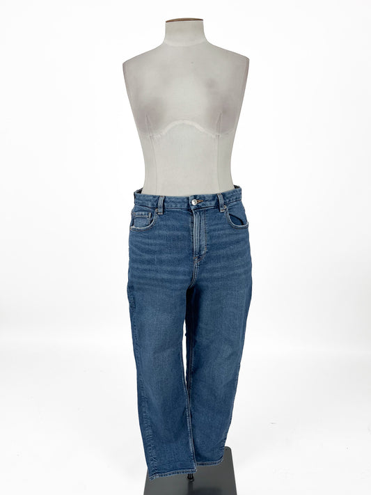 American Eagle | Blue Casual Jeans | Size 14