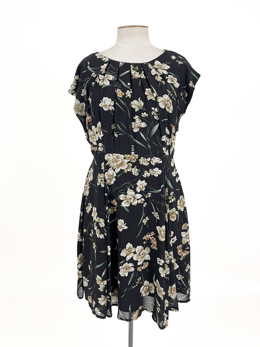 Pagani | Black Dress | Size 14