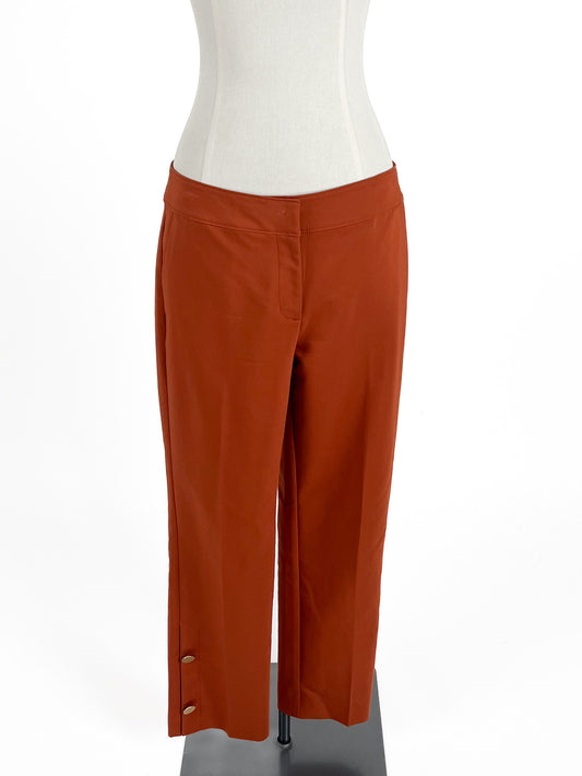 Ann Taylor | Brown Straight fit Pants | Size XS