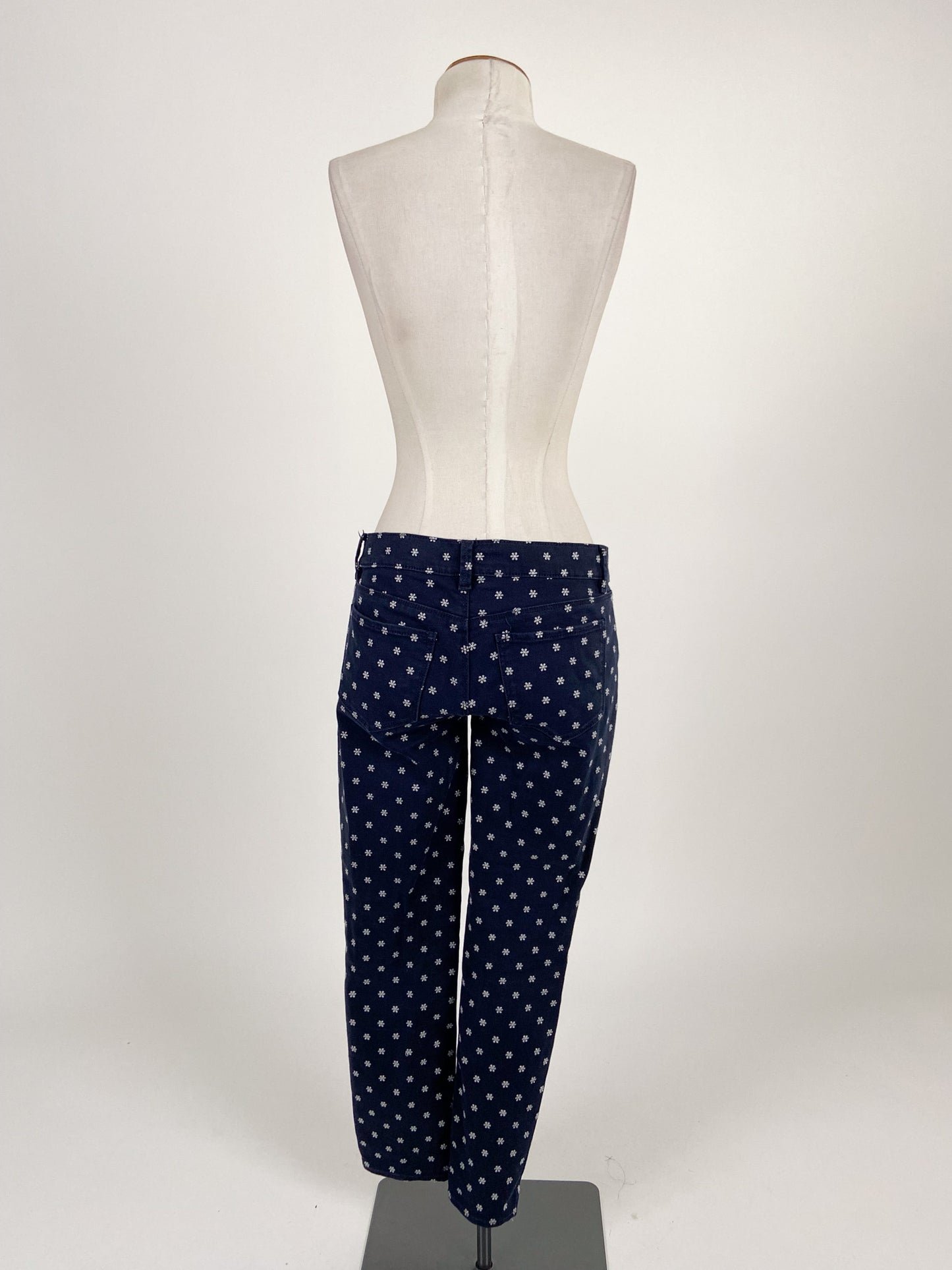 Ann Taylor | Navy Casual Jeans | Size S