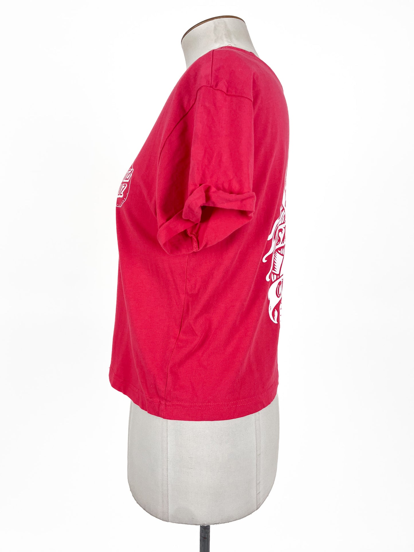 Santa Cruz | Pink Casual Top | Size 10