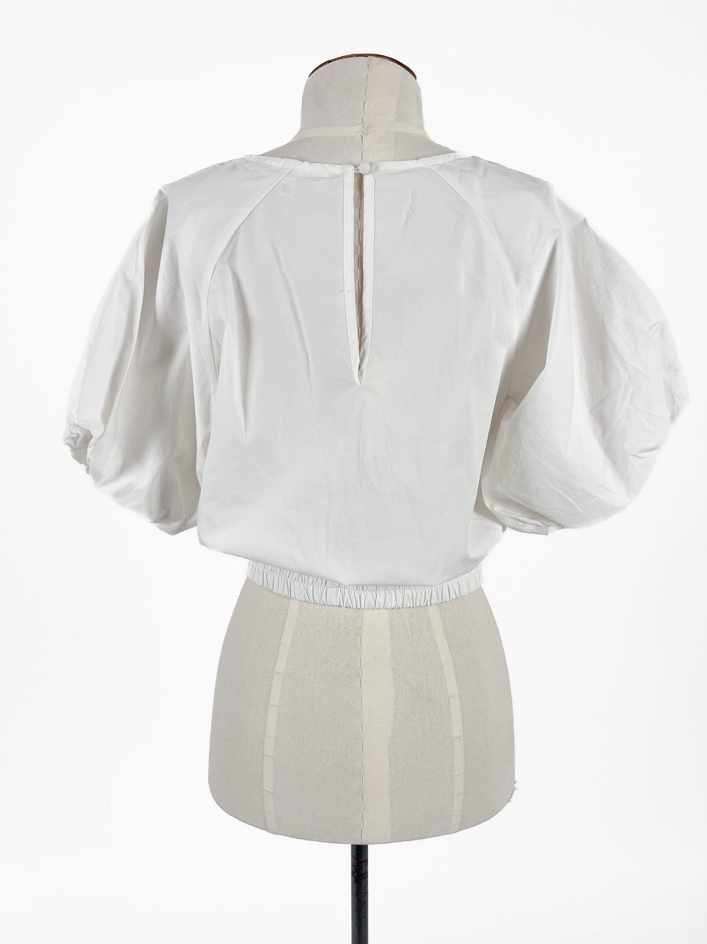 Ivy + Jack | White Casual/Workwear Top | Size 6